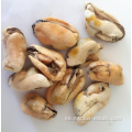 Läcker och överlägsen inga rester av bekämpningsmedel fryst kokt mussla